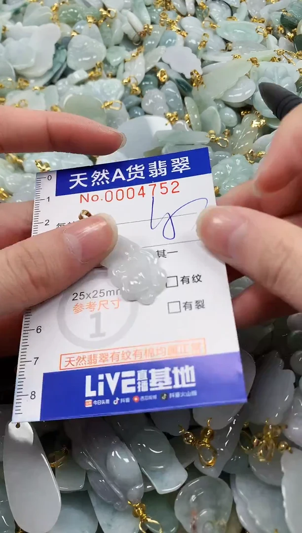 颈饰未镶嵌翡翠纯天然a货翡翠