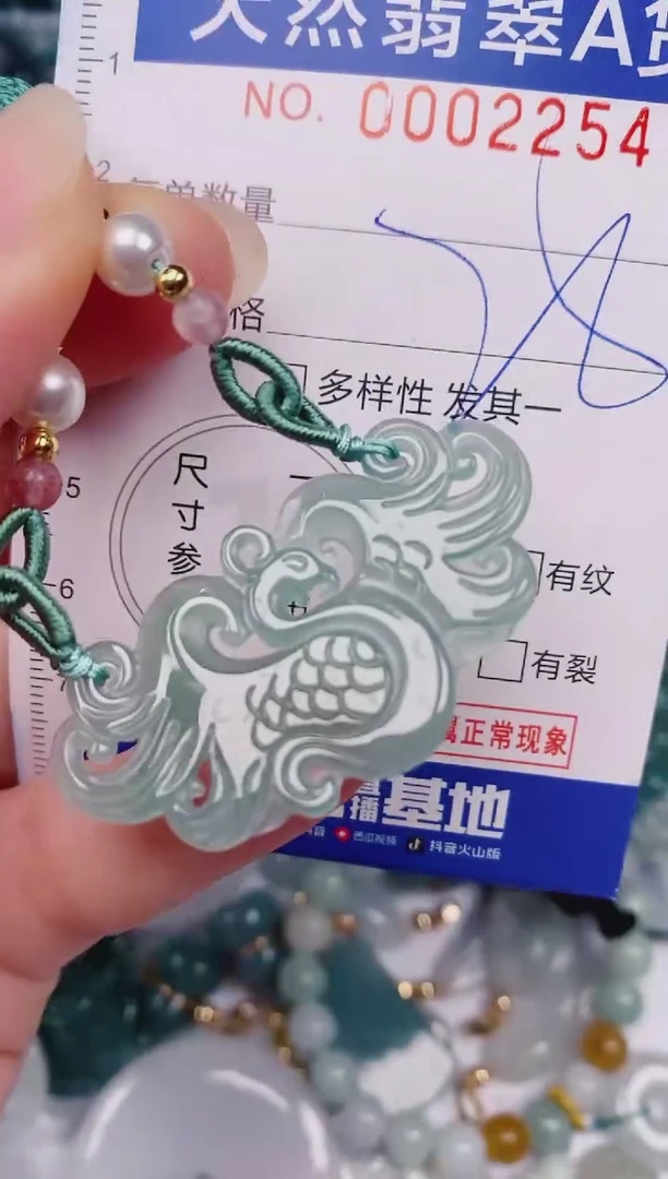 颈饰未镶嵌翡翠00002254