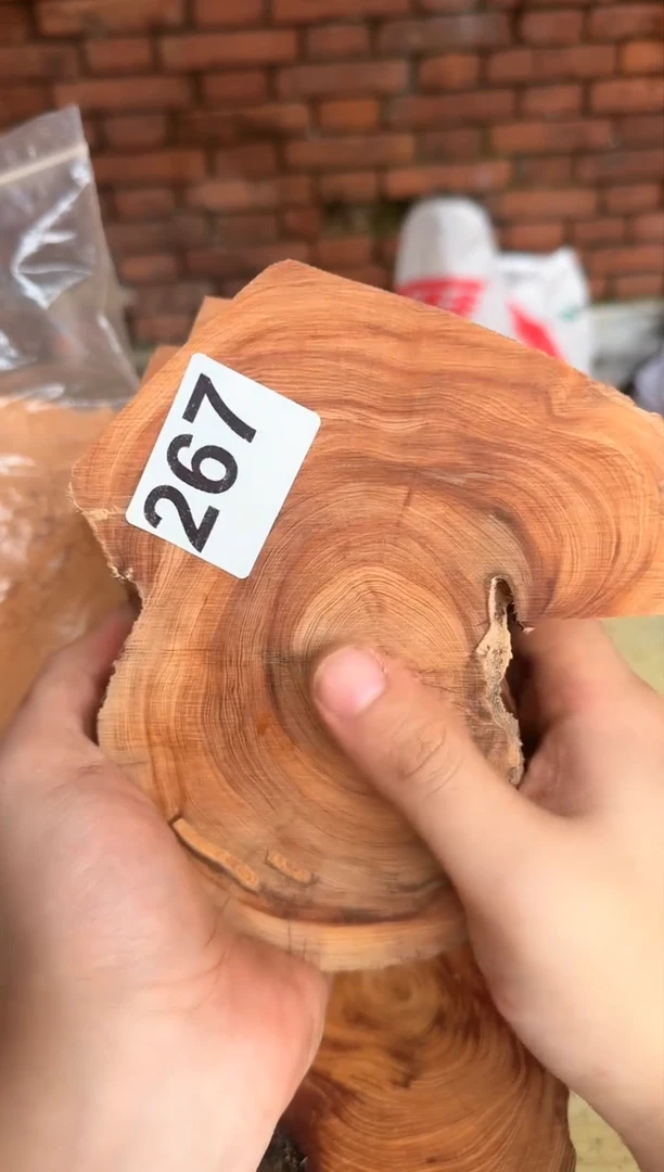 柏木（崖柏）太行崖柏陈化切片一片