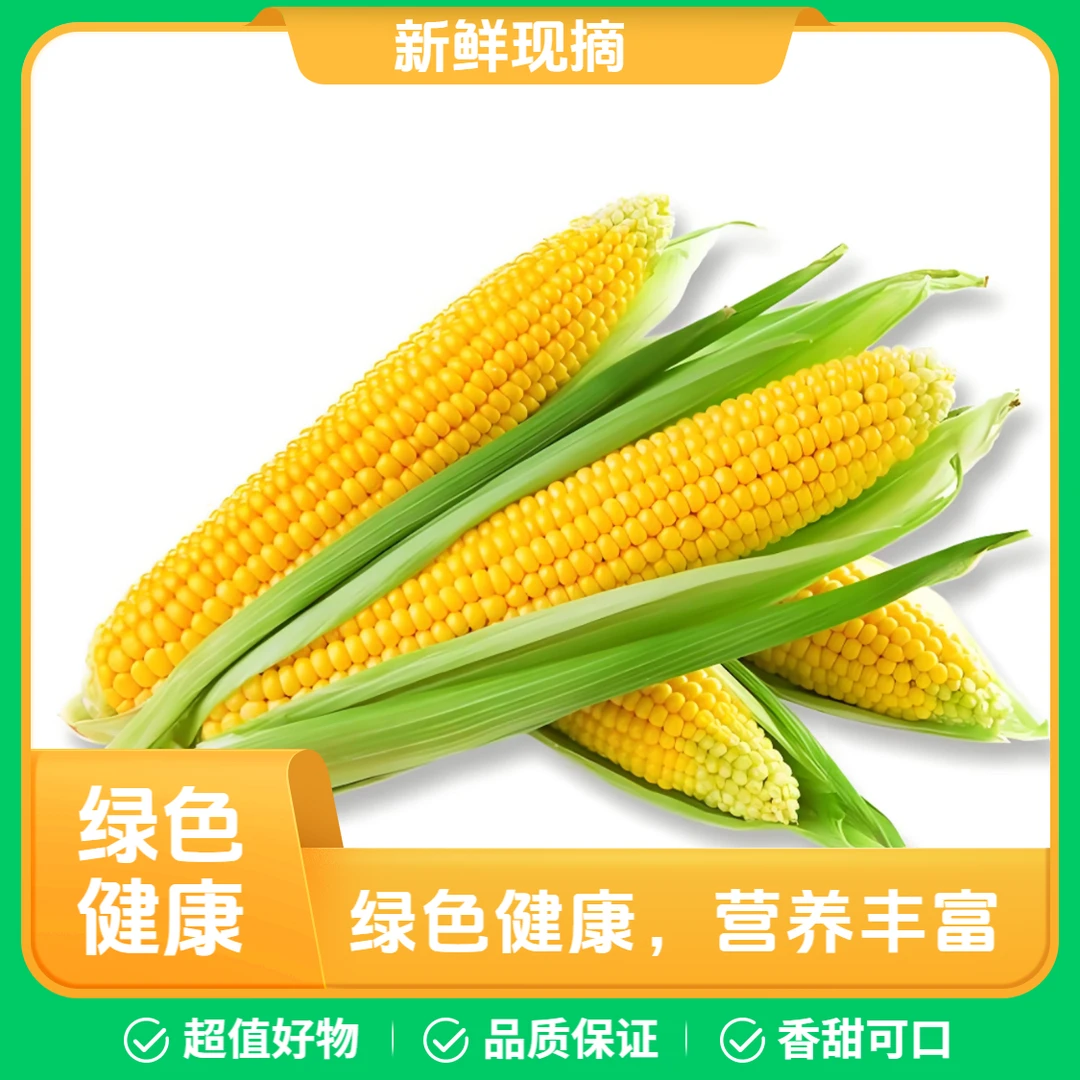 四川现摘现发正宗脆甜水果玉米可生吃清甜可口