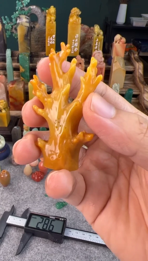 老挝石北部黄珊瑚包1字1.9*1.5*