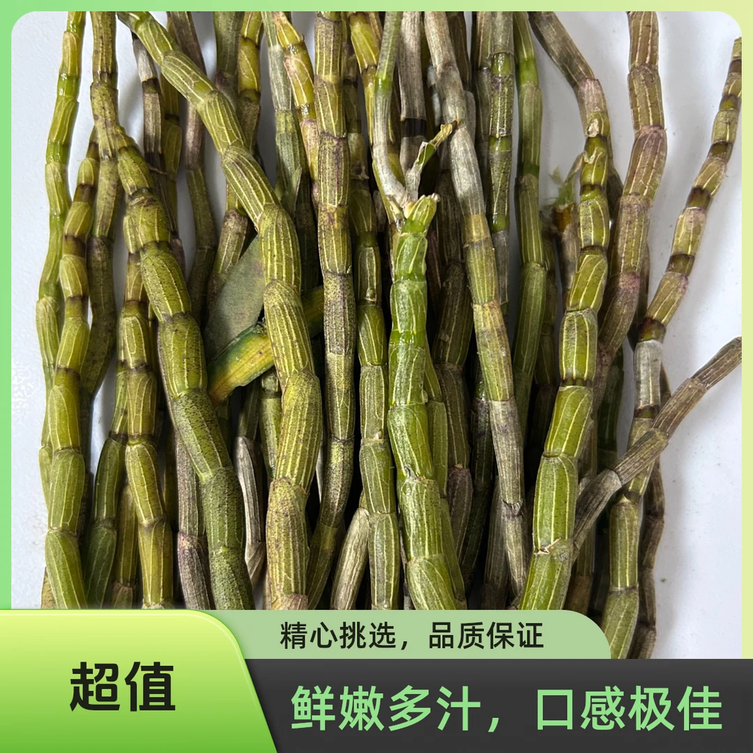 初级食用农产品铁皮条