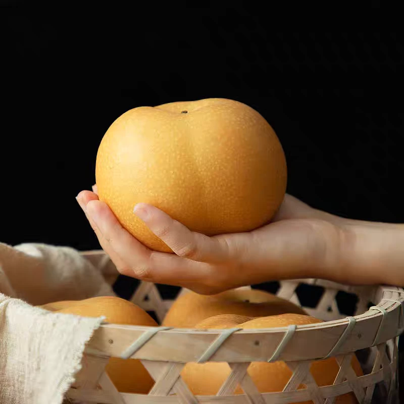 新鲜当季圆黄梨现摘现发薄皮脆甜多汁水果包邮