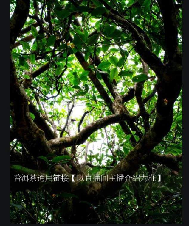 ★【礼包 ⑦ 】普洱茶 -通用链接- 以直播间介绍为准