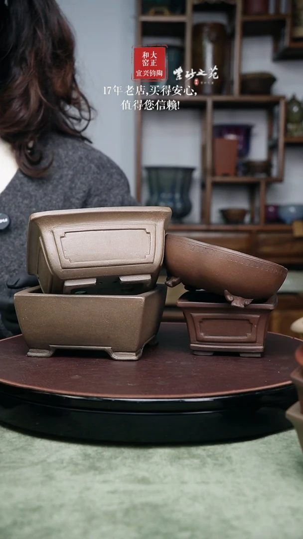 泊*桐荫轩4免1小花盆