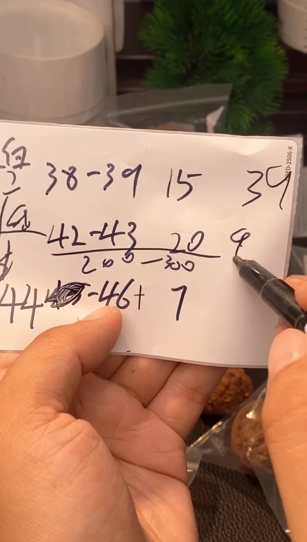 把件文玩核桃球白文玩核桃⬛️42-43