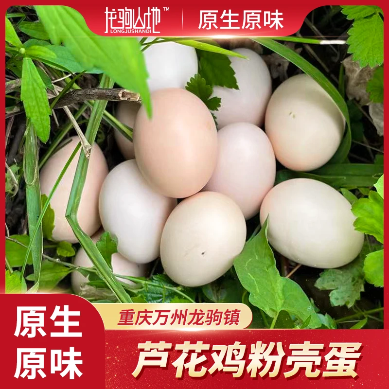龙驹山地芦花鸡粉壳蛋 农村高山散养土鸡蛋