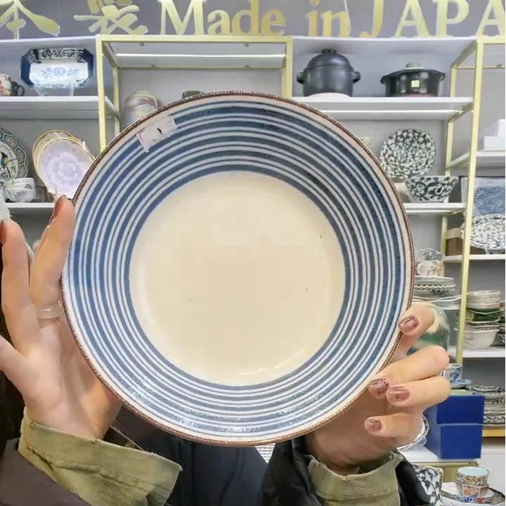 【2支】日本进口美浓烧南国之波深盘21cm