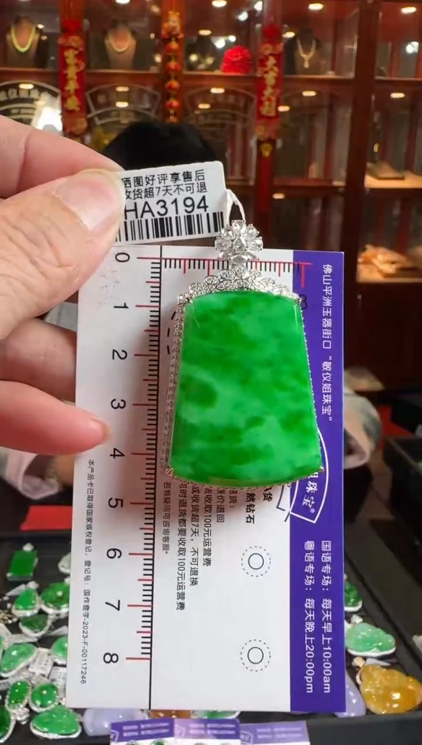 颈饰18K金镶嵌翡翠HA3194辣绿无事牌