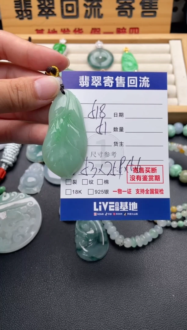 颈饰未镶嵌翡翠10147087