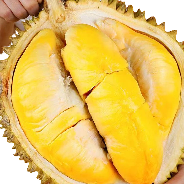 正宗泰国金枕榴莲现场开果鲜榴莲验货每斤核小榴莲榴莲同城送3斤金枕泰国