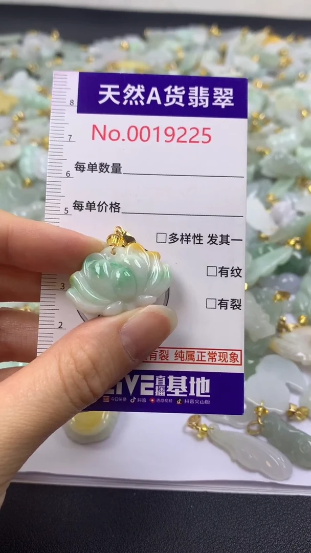 颈饰未镶嵌翡翠1