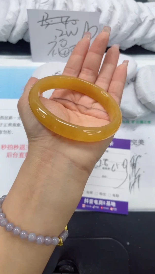 未镶嵌手镯石英质玉236-62.6