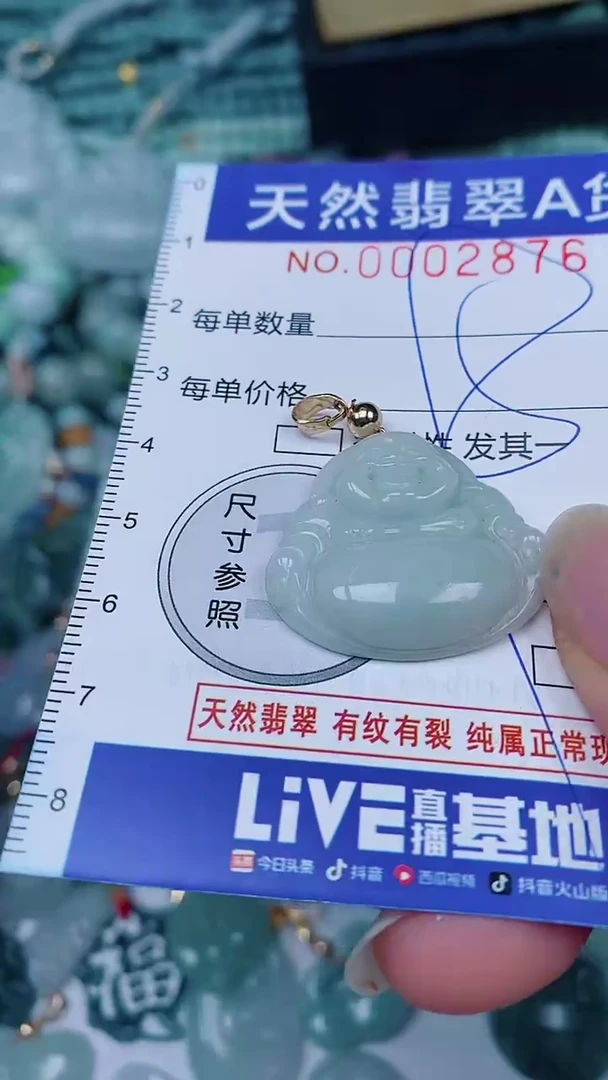 翡翠未镶嵌颈饰00002876