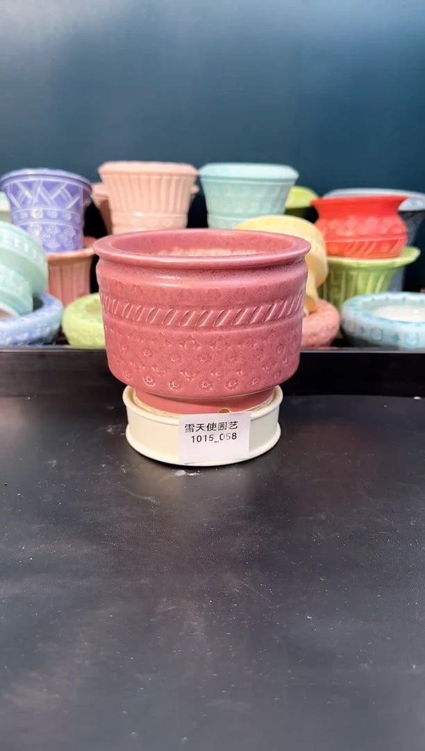 1015- 058云霓瑶  10 口左右 1 个默认微瑕