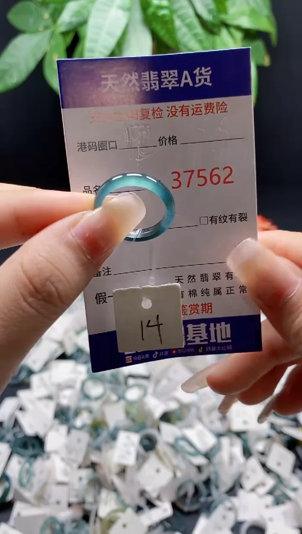 翡翠戒指未镶嵌 天然翡翠戒圈7562