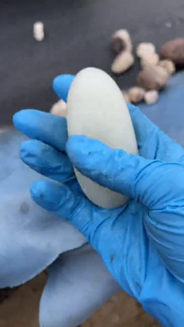 颈饰未镶嵌和田玉（糖玉）001