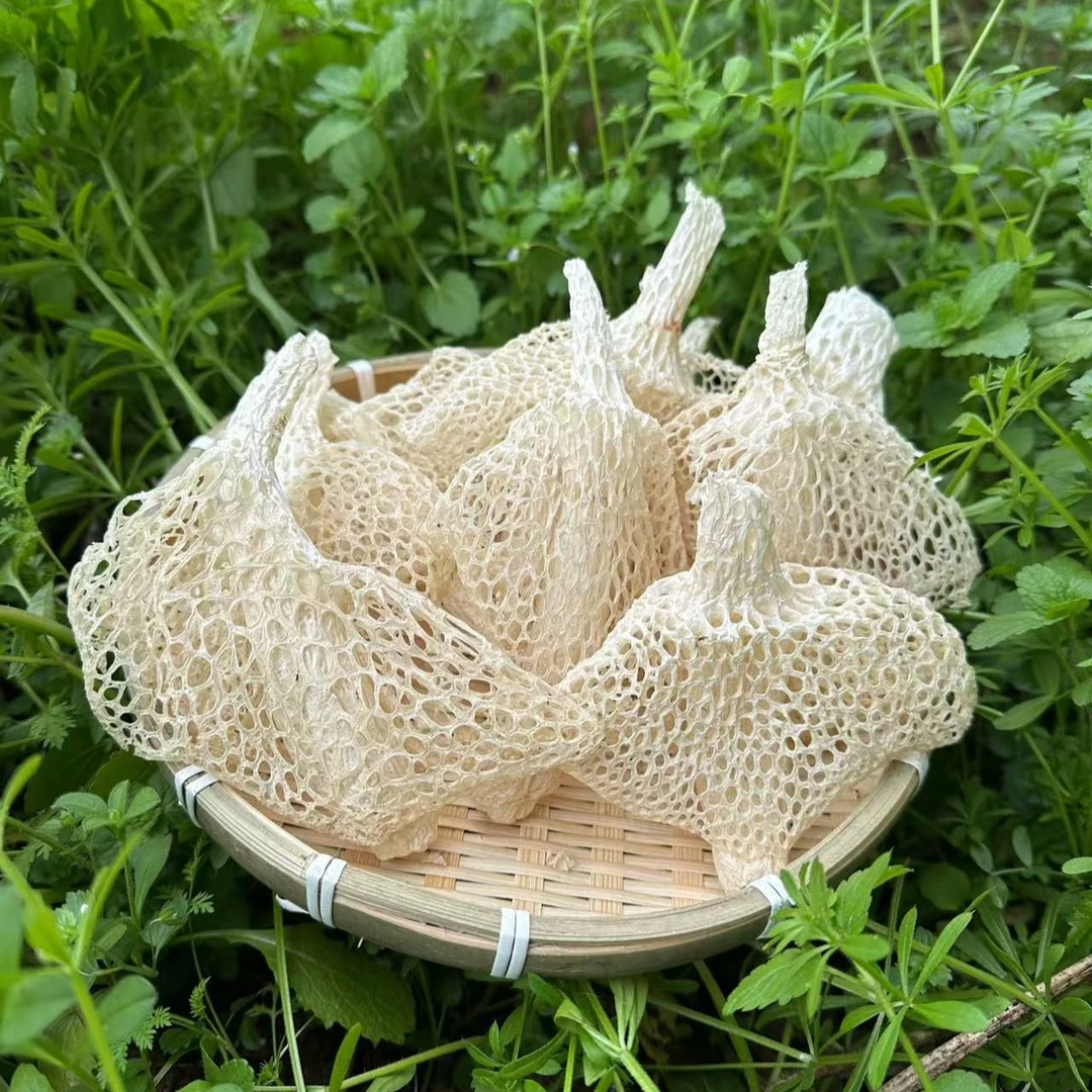 宜宾蜀南竹海长裙小竹荪干货无硫无异味滋补食材50-250g火锅专用