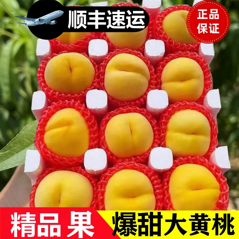 【次日达顺丰包邮】福利3斤装 正宗山东黄桃蒙阴锦绣黄桃水果新鲜纯甜桃子油桃山东省山东省