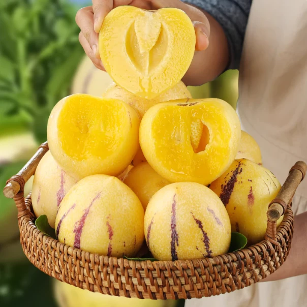 【顺丰】云南人参果水果圆果黄肉大果新鲜石林人叁果树上熟人生果