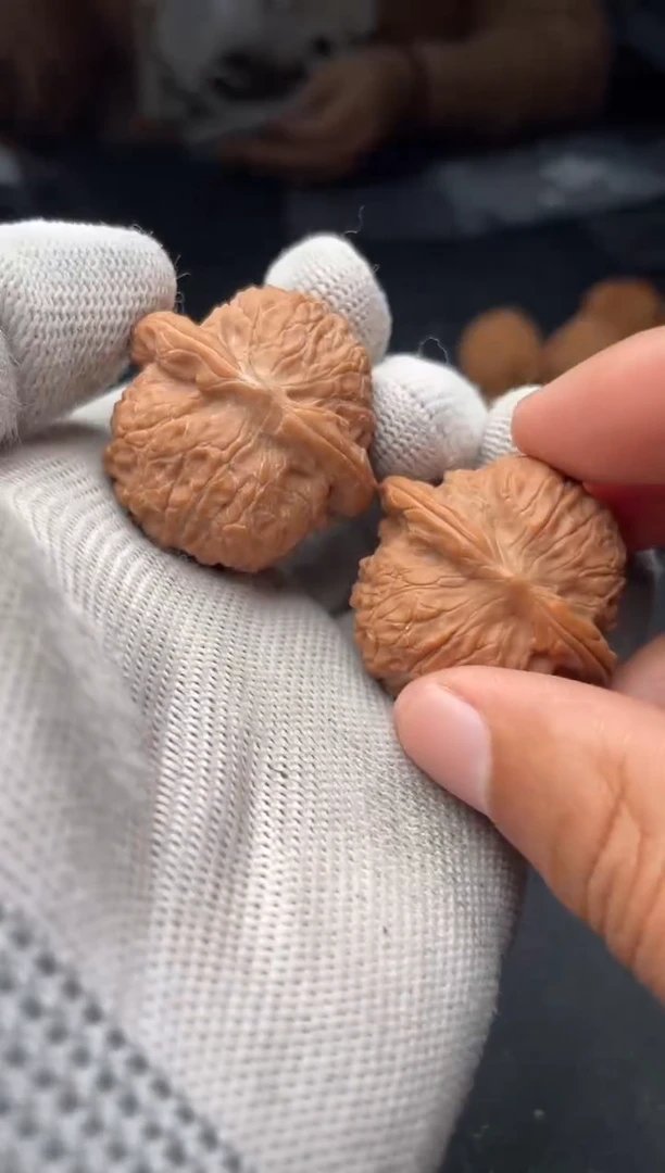 核桃a302   血麒麟 34尺寸