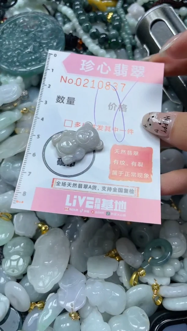 翡翠未镶嵌颈饰闪购02108337