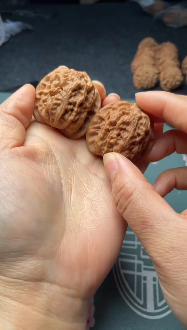 把件文玩核桃w74  龙脉   41尺