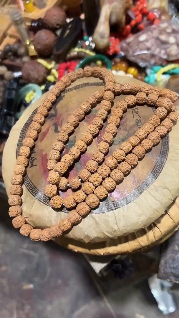 紫砂紫砂紫砂紫砂紫砂紫砂