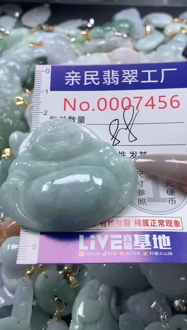 颈饰未镶嵌翡翠7456