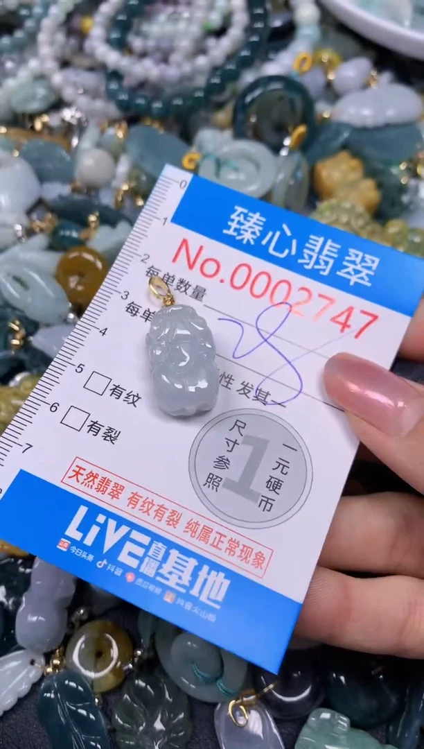 【闪购商品】翡翠颈饰未镶嵌含绳0002747