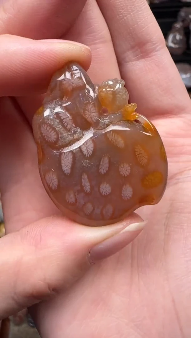 颈饰未镶嵌硅化珊瑚（珊瑚玉）400