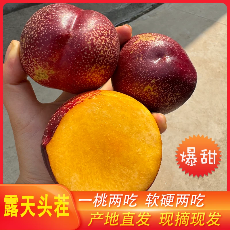 【露天巨无霸】正宗爆甜山东麻点露天黄肉油桃水果香甜营养多汁桃子