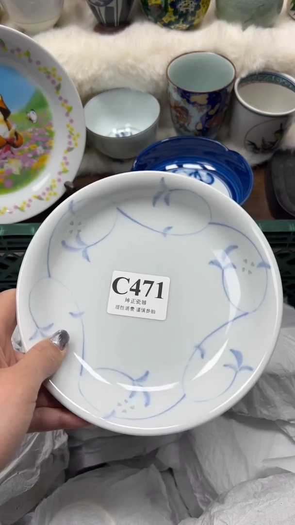 【闪购商品】瓷片 C471