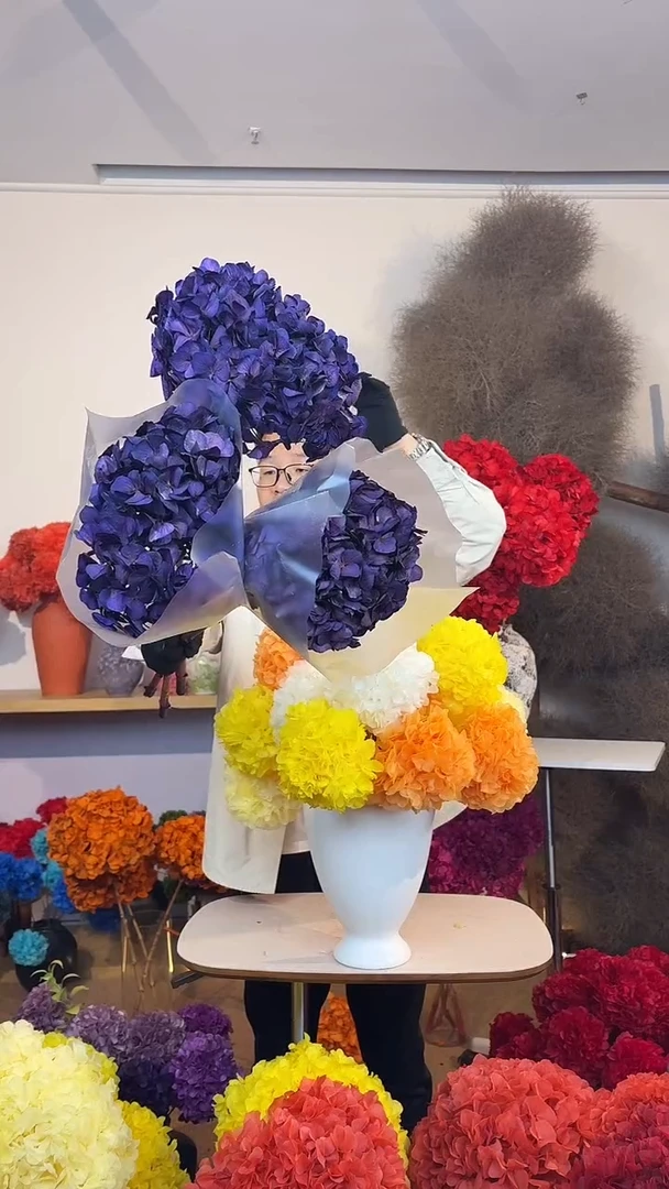 S级吸色永生大叶绣球3枝 紫