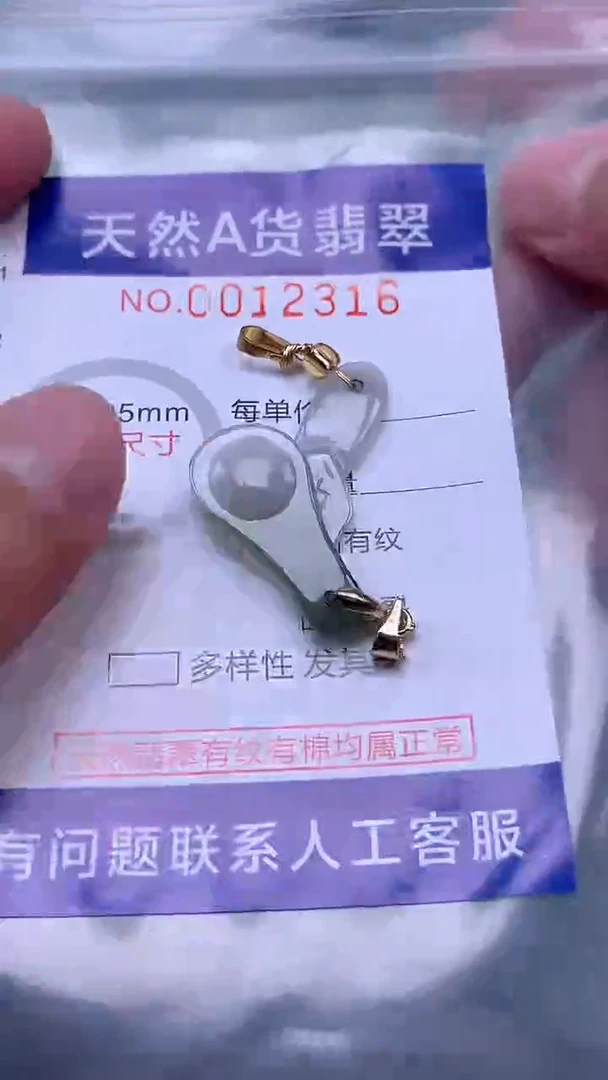 吊坠(赠链)未镶嵌翡翠1