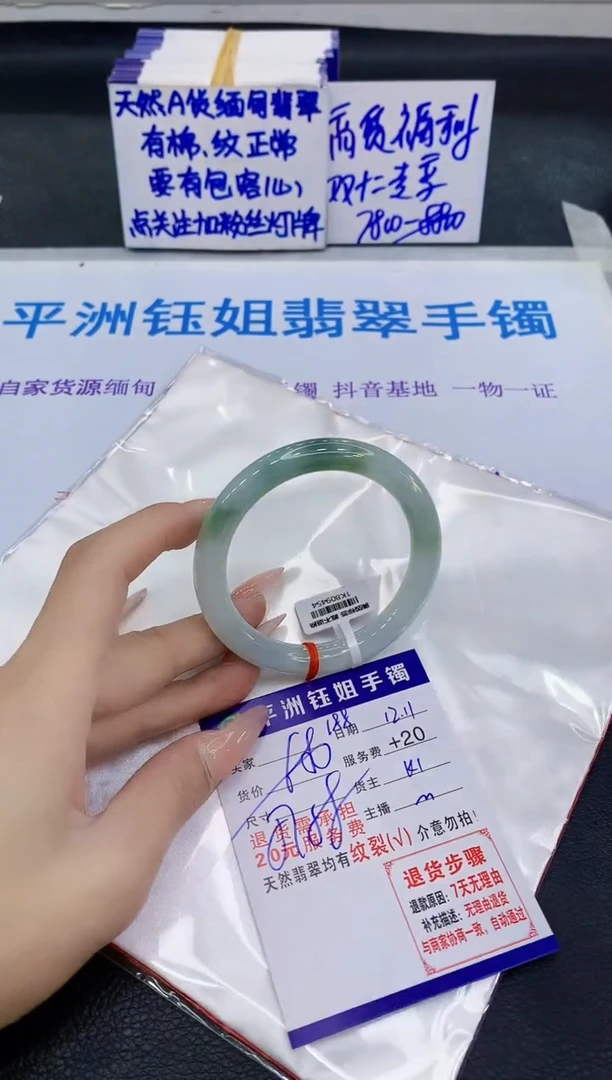 未镶嵌手镯翡翠11