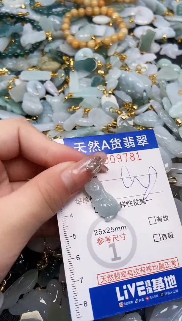 翡翠未镶嵌颈饰天然A货翡翠