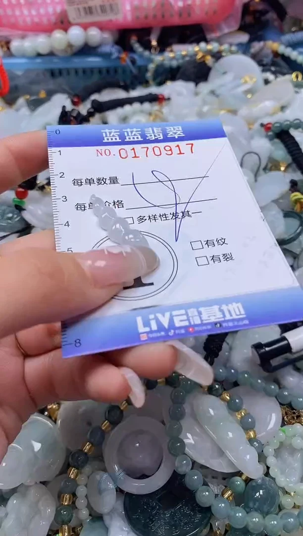 【闪购商品】翡翠颈饰未镶嵌闪购0170916