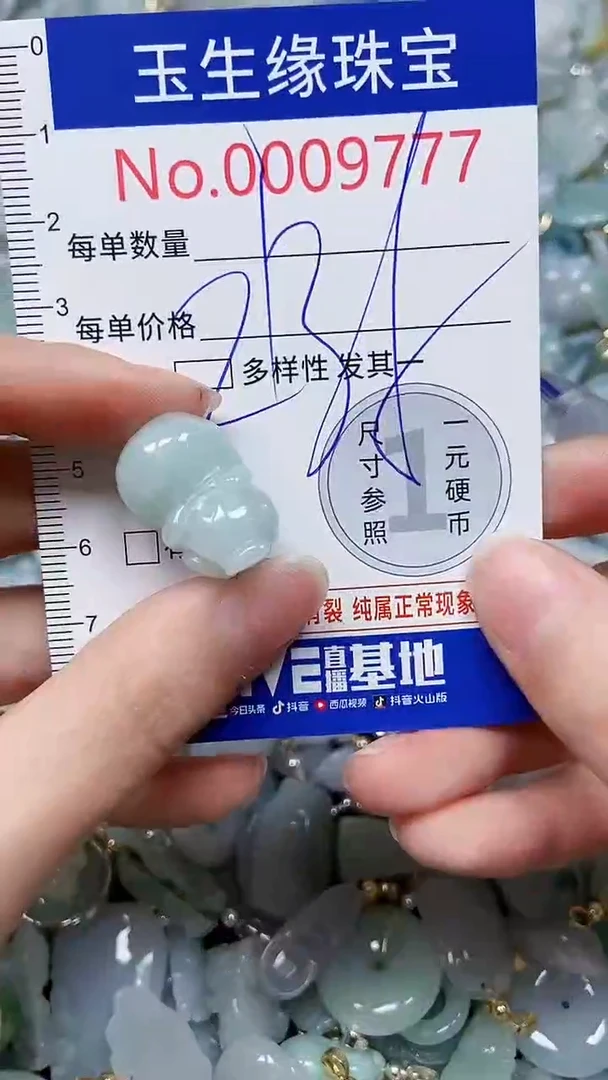 【闪购商品】翡翠颈饰未镶嵌闪购00009777