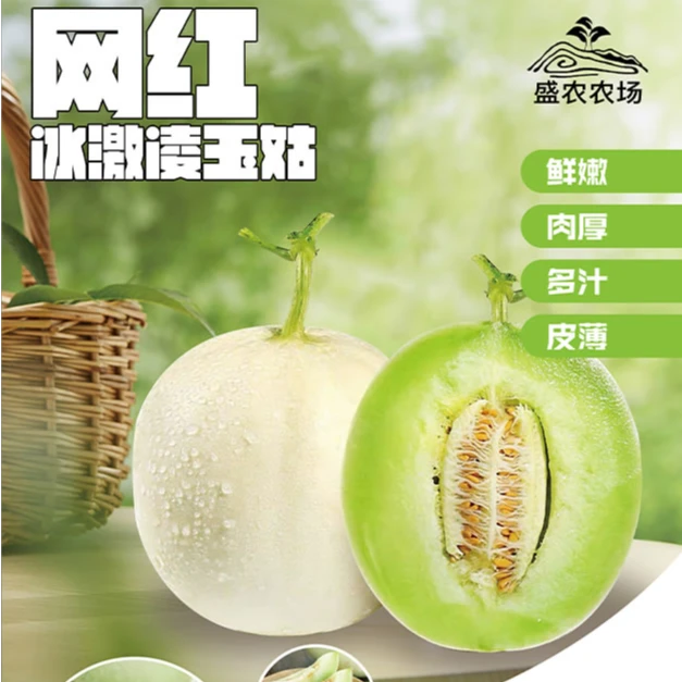 安次玉菇甜瓜网红冰激凌甜瓜试吃装