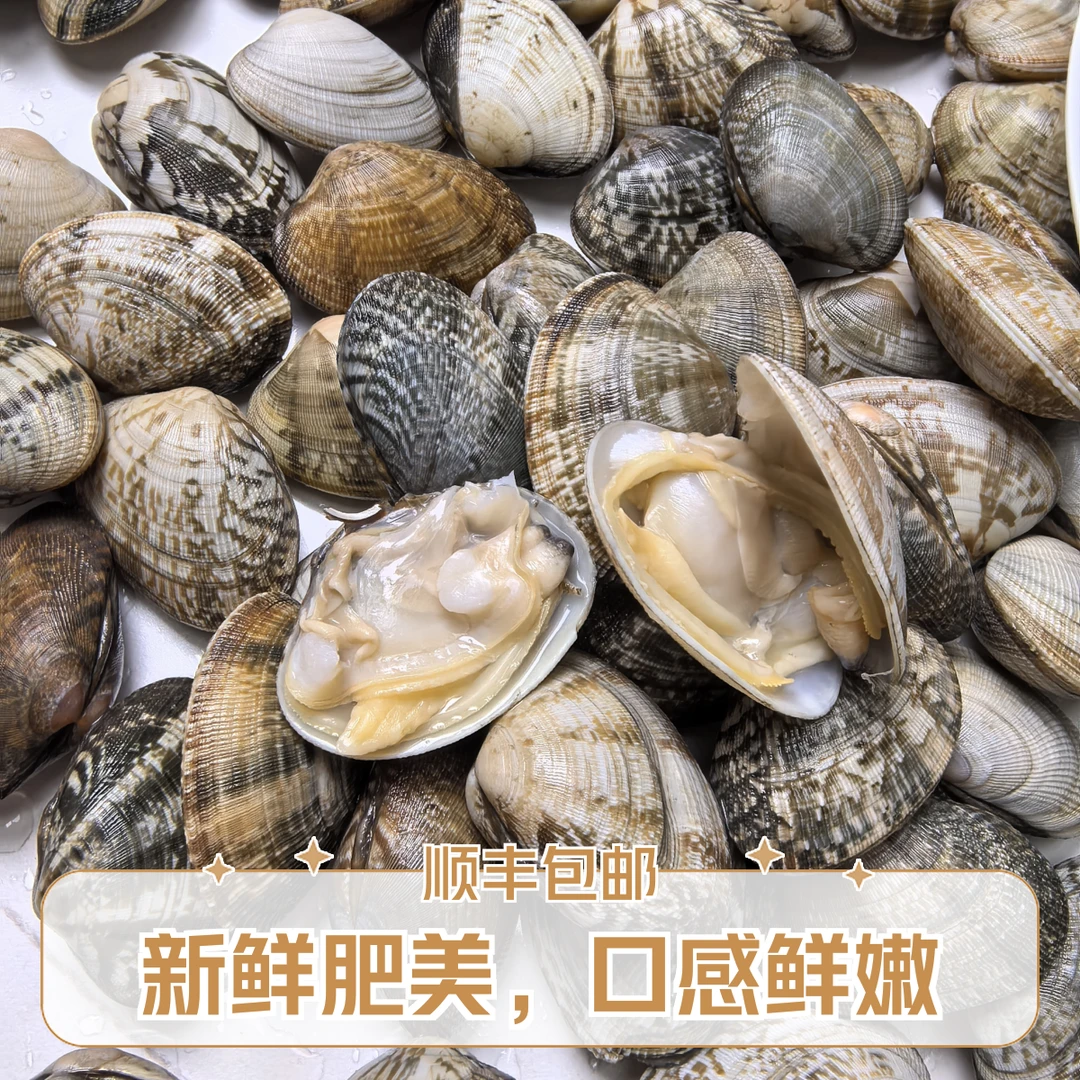 丹东东港纯野生薄壳花甲黑蚬子蛤蜊鲜活应季肥美98%吐沙顺丰包邮