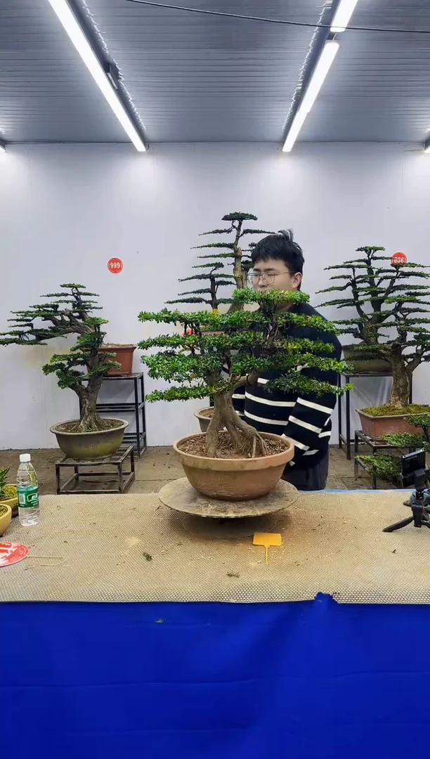 完全开放一物一拍，所见即所得