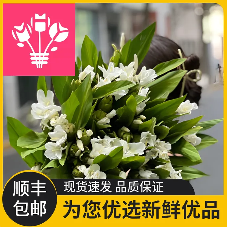 精选姜花时令独特姜花鲜切花白花当季水养带香味修剪家居插花鲜花