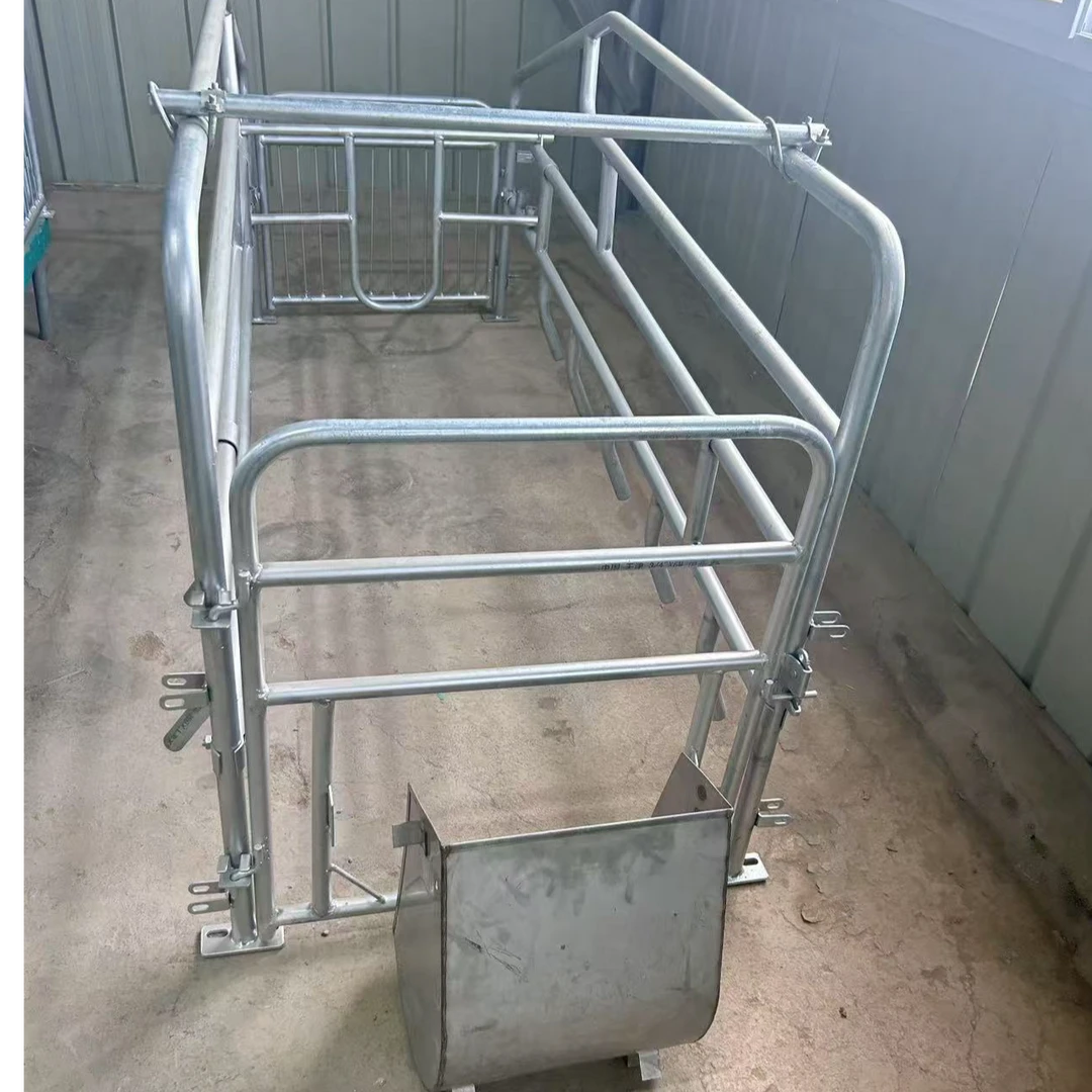 加厚材质落地母猪位国标热镀锌材质结实耐用