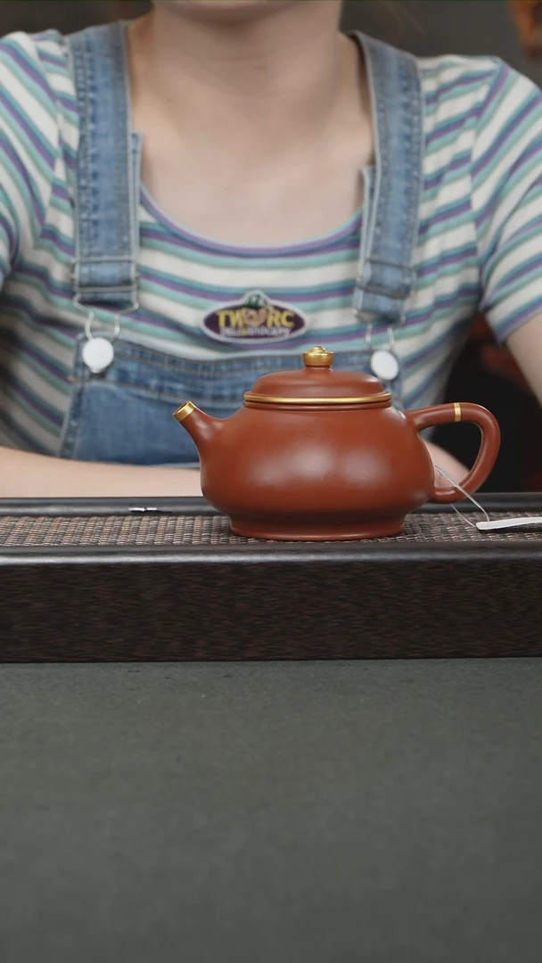 茶壶紫砂宜兴紫砂260cc0419