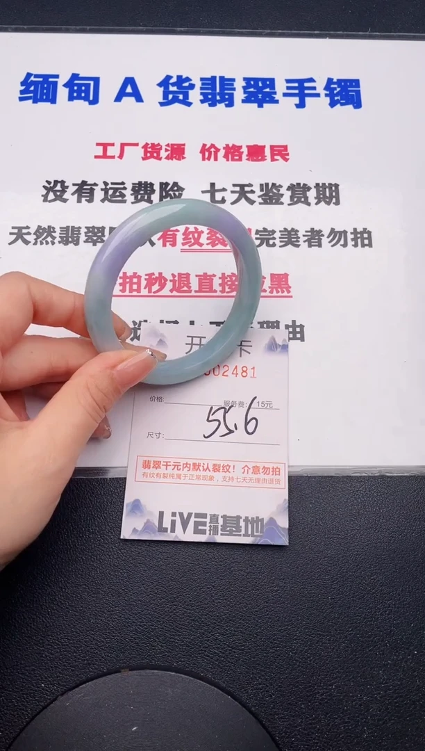 未镶嵌手镯翡翠81