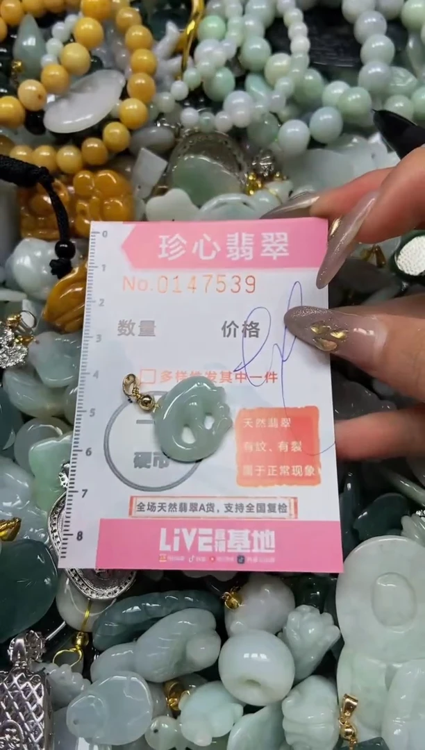 【闪购商品】翡翠颈饰未镶嵌闪购0147539