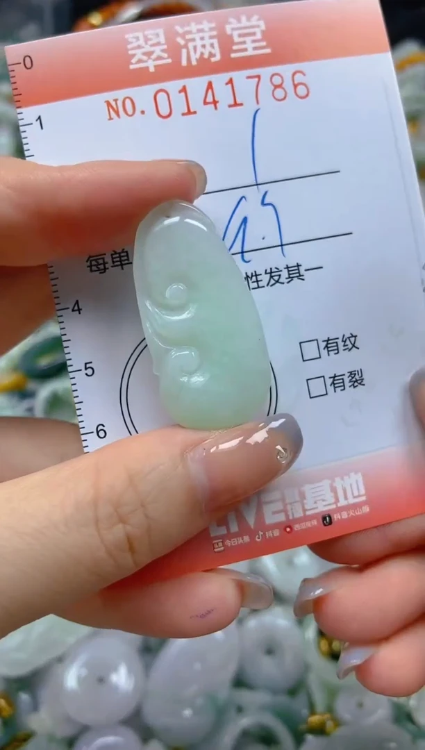 翡翠未镶嵌颈饰闪购0141786