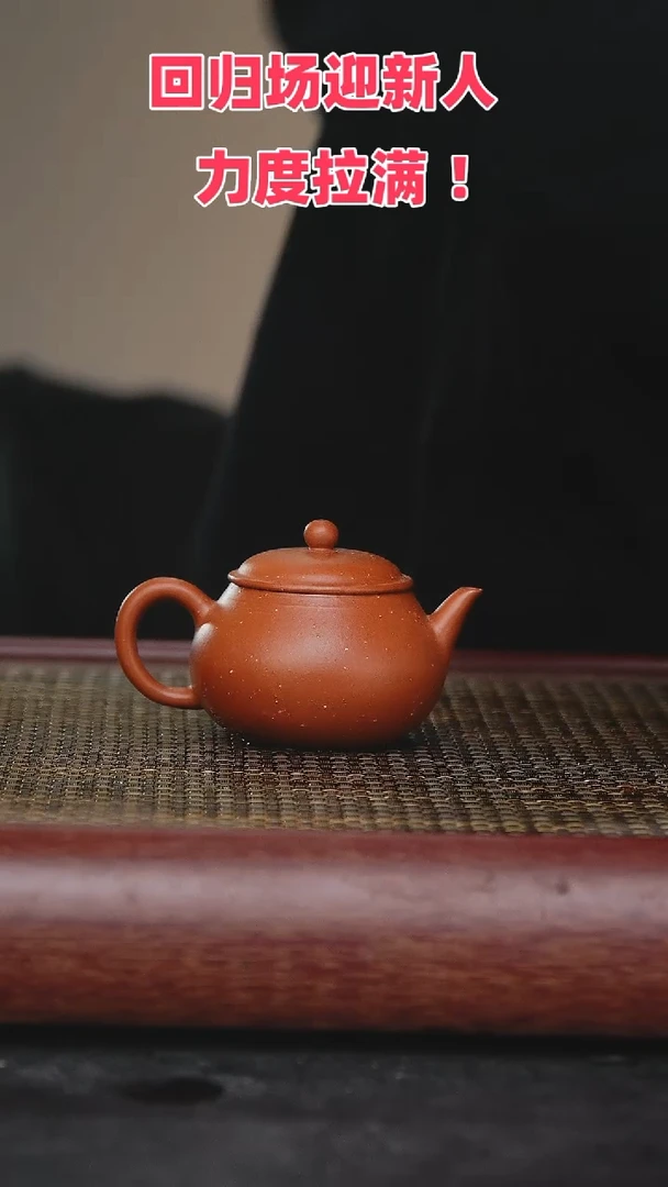 【闪购商品】紫砂茶壶紫砂茶壶