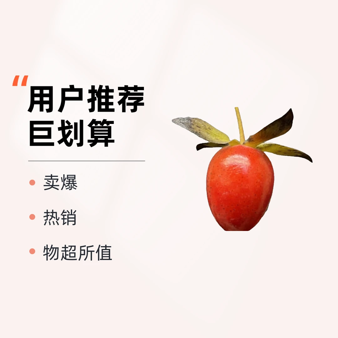 赤城大红 日本原生根培阳台室内品种小苗老鸦柿盆栽